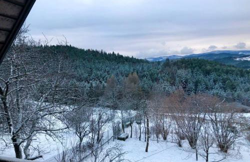 Klimatyczny dom z widokiem na Babią - kominek i ogrodzenie - Foto 47