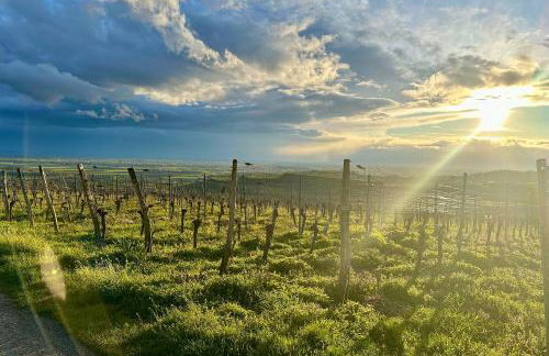 Urlaubsapartment Südsicht - Foto 25