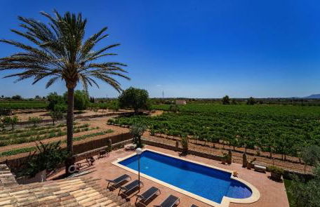 Vinyes Can Grau - Foto 14