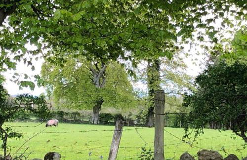 Ballyheifer House - a beautiful 5 bedroom home. - Foto 59