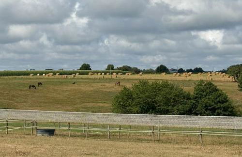 Charmante maison Landaise - Foto 15