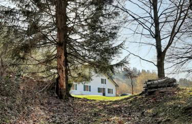 Chalet Meuselotte, à Bussang dans les Vosges - Foto 21