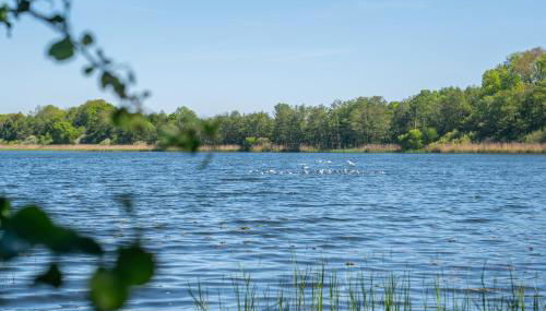 K357 - Ferienwohnung - Moin Moin - Pönitz - Scharbeutz - Foto 5