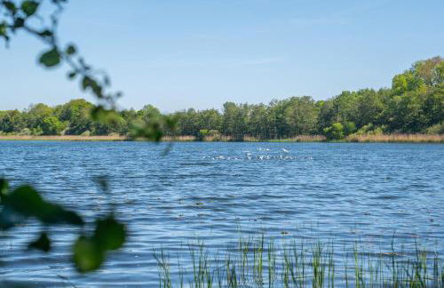 K357 - Ferienwohnung - Moin Moin - Pönitz - Scharbeutz - Foto 5