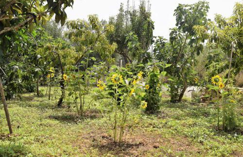 Casa le Gebbie - Photo 6