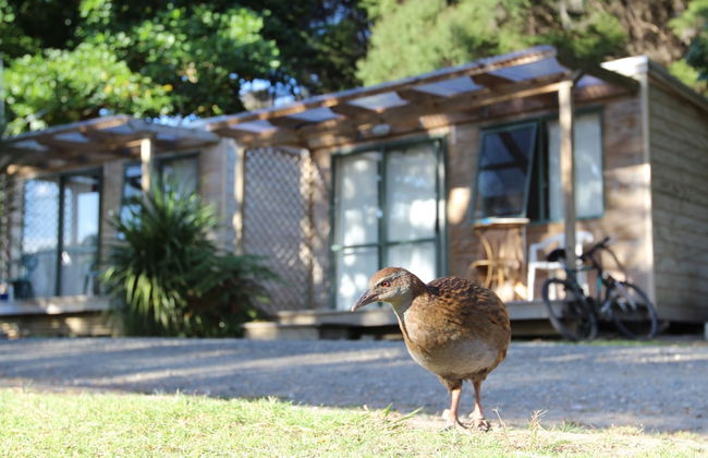 Russell - Orongo Bay Holiday Park - Foto 1