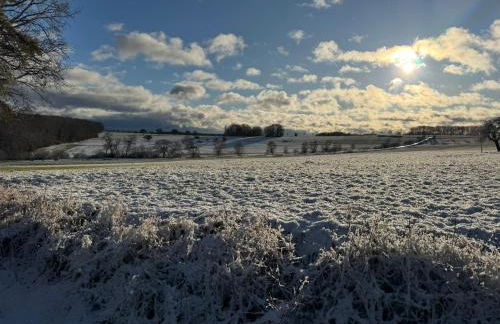 Haus Dorfidyll - Foto 42