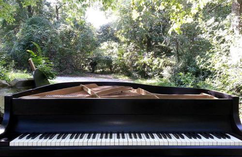 Eclectic Riverfront Log Cabin and Artist Retreat for Groups in Castle Hayne, North Carolina - Foto 27