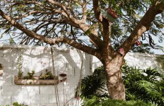 Laurisilva love spa sauna y piscina - Foto 30