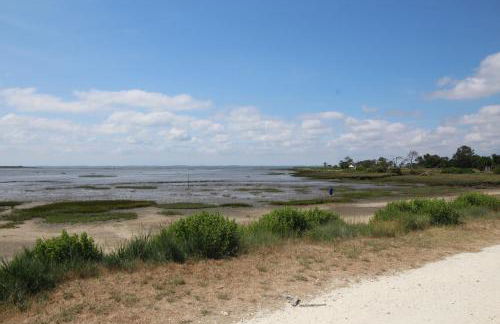 1km plage- Bassin d'Arcachon- Maison pour 6 - Photo 23
