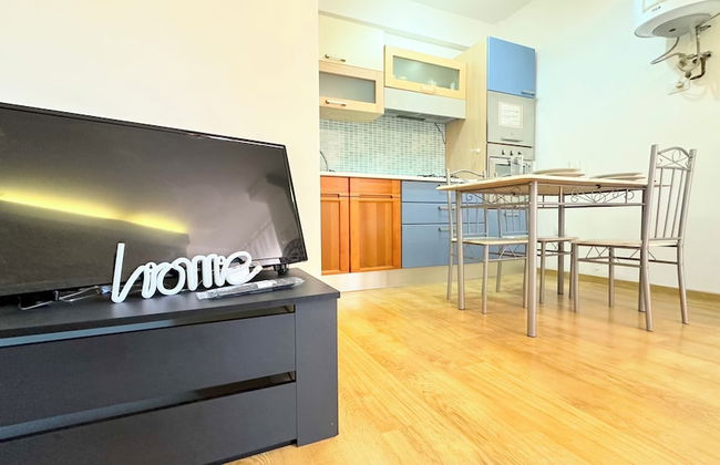 Cleo mimosa - Foto 12