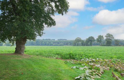 Gîte La Clémençaie - Foto 12