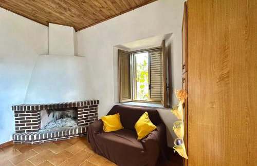 Il castagno - Foto 8