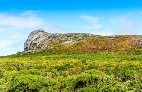 Finest Retreats - Little Dunley - Wisteria Cottage - Foto 10