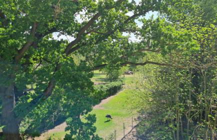 Ferienwohnung Blumenberg Gänsefurther Str - Foto 15