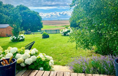 Oaza Spokoju - Foto 8