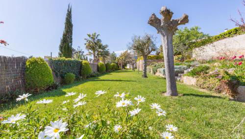 2MG - Blanes - Foto 5, Garden, Garden view