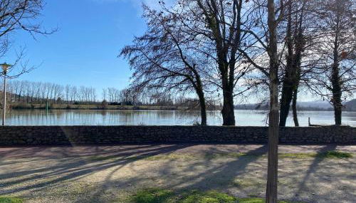 Bords du Rhone - Foto 5