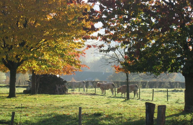 Holiday Home in Epen With Garden & BBQ - Foto 23