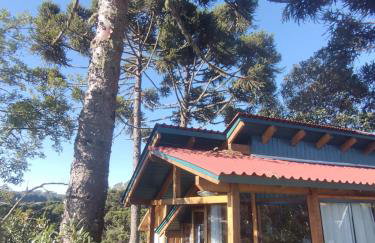 Na'raucária - Foto 10
