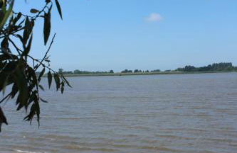 ferienwohnungen-deichgraf - Foto 5