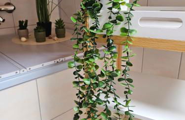 gemütliche Ferienwohnung im Nordschwarzwald - Foto 18