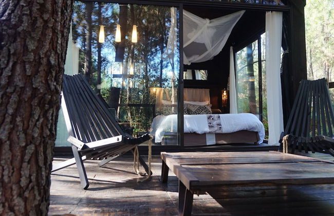 Les Landines - Foto 18