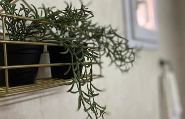 Playa Antilla Golf - Foto 11