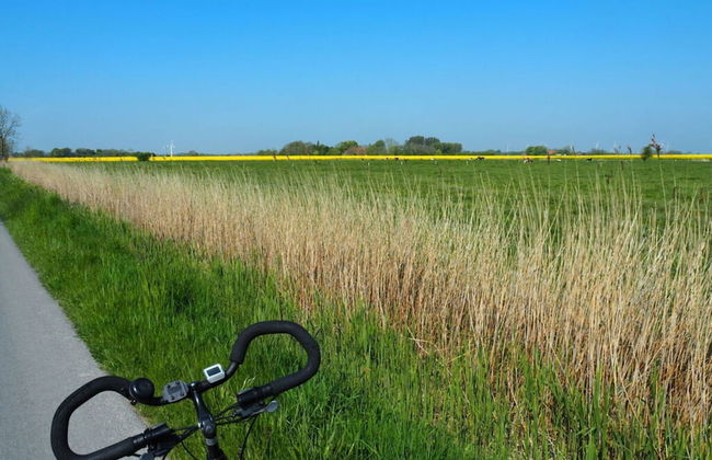 Villa Garden Cloud 7 - Foto 15