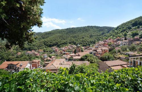 Acciuga House - Foto 23