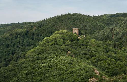 Apartment in Waldbreitbach mit Whirlpool by Interhome - Foto 28