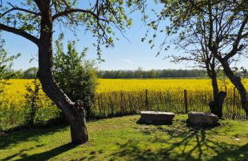 Ferienwohnung „Utkiek“ - Hof Mühlenkoppel - Foto 37