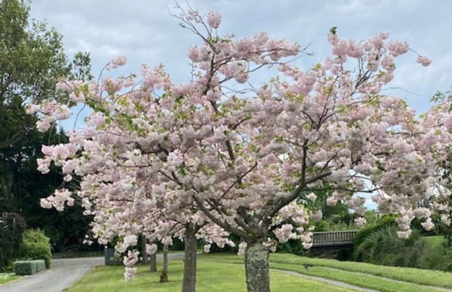 Amuri Villas - Foto 29