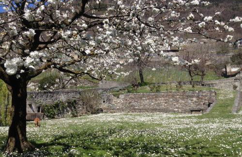 Il Drago al Roseto del Drago - Foto 32