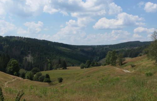 Lauschablick FeWo Thüringen - Foto 32