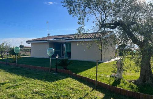 Il giardino di nunzia - Photo 10