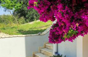 Corfu Birdhouse - Foto 34