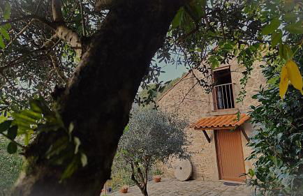 Quinta da Costeira - Foto 18