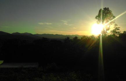 Private Green Cottage near downtown - Photo 25