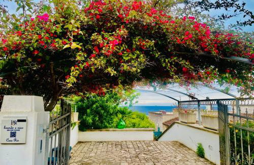 CASA AL MARE RIO b&n - Foto 3