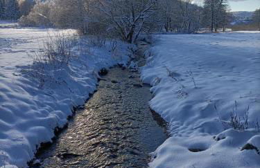 Fewo Lindenlaub - Foto 20