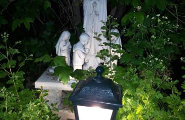 Quintinha dos Cedros - Foto 52