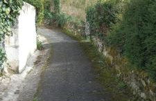 La troglo aux oiseaux - Foto 18