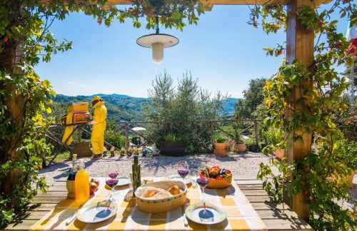 Agriturismo La Coccinella - Foto 23