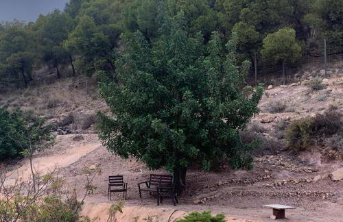 Casa del Santo - Foto 30