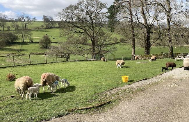 Gratton Grange Farm Holiday Cottage - Foto 43