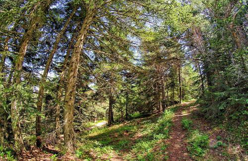 Agriturismo Colline Morghetta - Foto 62