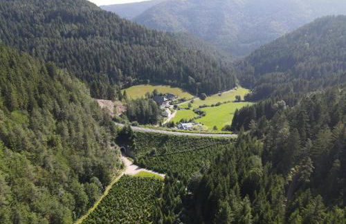 Waldbauernhof - Foto 19