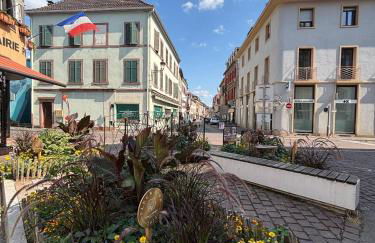 La Vue des Vignes - Foto 15