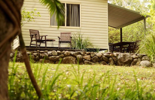 Mt Warning Rainforest Park - Photo 19